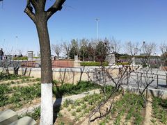 -永定门南广场