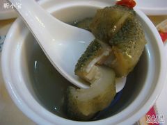 海参-海岛渔村大酒店(云霄路店)