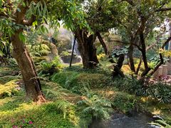 -Chom Cafe and Restaurant