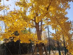 -苏州海洋馆