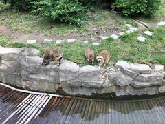 -宁波野生动物园