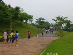 -华南师范大学(广州大学城校区)