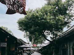 -安仁古镇