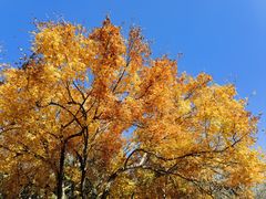 -北京西山国家森林公园