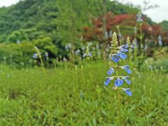 -天河潭旅游度假区
