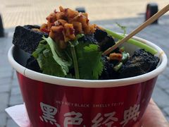 -黑色经典臭豆腐·长沙鲜食商店(坡子街店)