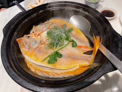 -陶陶居酒家(新天地店)