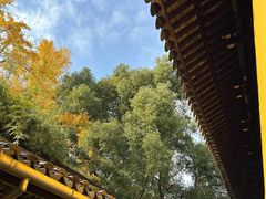 -西园戒幢律寺