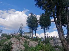 -长虫山生态公园风景林