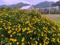 -东钱湖旅游度假区