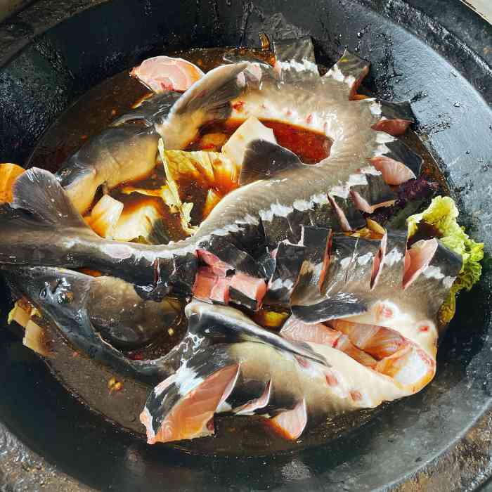 清炖鲟鱼汤图片