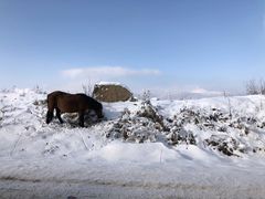 -太子岭滑雪场