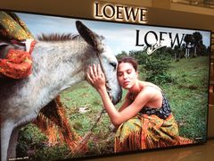 -LOEWE罗意威(万象城店)