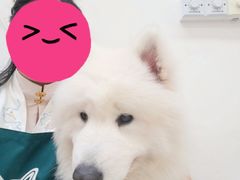 -星多哈·狗咖·拼豆·咖啡