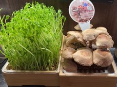 -捞王锅物料理(金华义乌之心店)