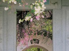 -深圳国际园林花卉博览园