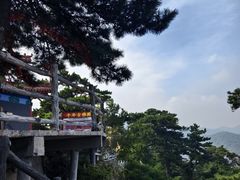 -大芦花风景区