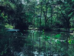 -燕晗山郊野公园