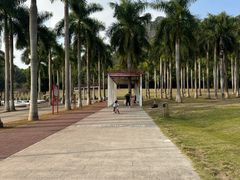 -南宁花花大世界景区