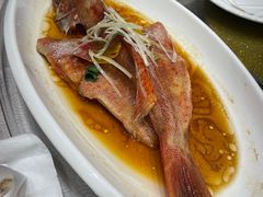 -东方明珠老上海8号餐厅