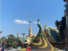 -七彩云南欢乐世界