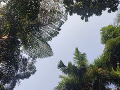 -南宁南湖公园