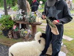 -HERRE·FARM 赫尔露营农场·团建聚会包场