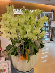 -杭州贝瑞斯美华妇儿医院·早孕·产检·儿科