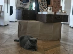 -Me Coffee下午茶艺术空间