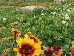 -呈贡滇池生态湿地公园