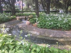 -起士林西餐厅(东经路店)