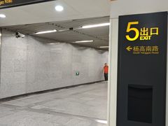 -杨高南路(地铁站)