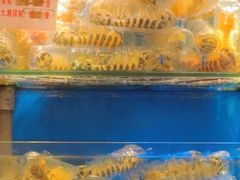 -喜记避风塘炒辣蟹(总店)