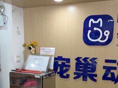 -宠颐生宠物医院·心肾内科·猫专科诊疗中心宠巢店