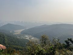 -惠山国家森林公园