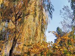 -长春公园(普阳街道)