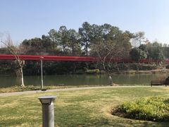 -青枫公园