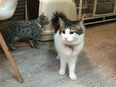 -小时光咖啡馆(北锣鼓巷店)
