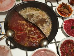 -朱光玉火锅馆(正弘城店)