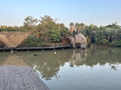 -南沙水鸟世界生态园