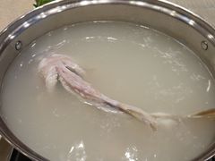 -孔庆璞河豚馆(白玉兰酒店)