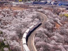 -居庸关长城