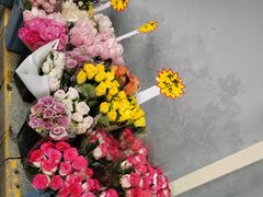 -循礼门鲜花花市(武汉循礼门店)