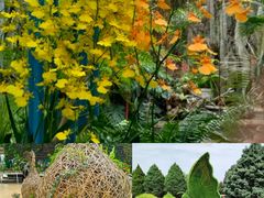 -石家庄市植物园