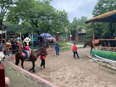 -西安秦岭野生动物园