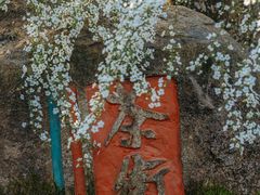 -中国茶叶博物馆(双峰馆区)