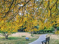 -国家植物园南园