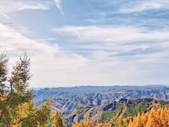 -苏木山森林公园