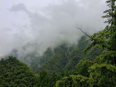 -神农架景区