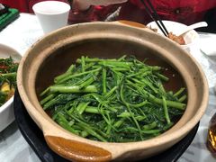 -熠盛粤味·顺德桑拿鸡(永康路店)